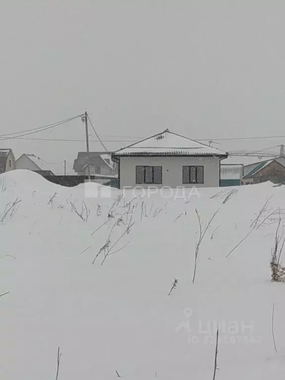 Участок в Новосибирская область, Коченево рп ул. Б.В. Волынова (10.0 ... - Фото 2