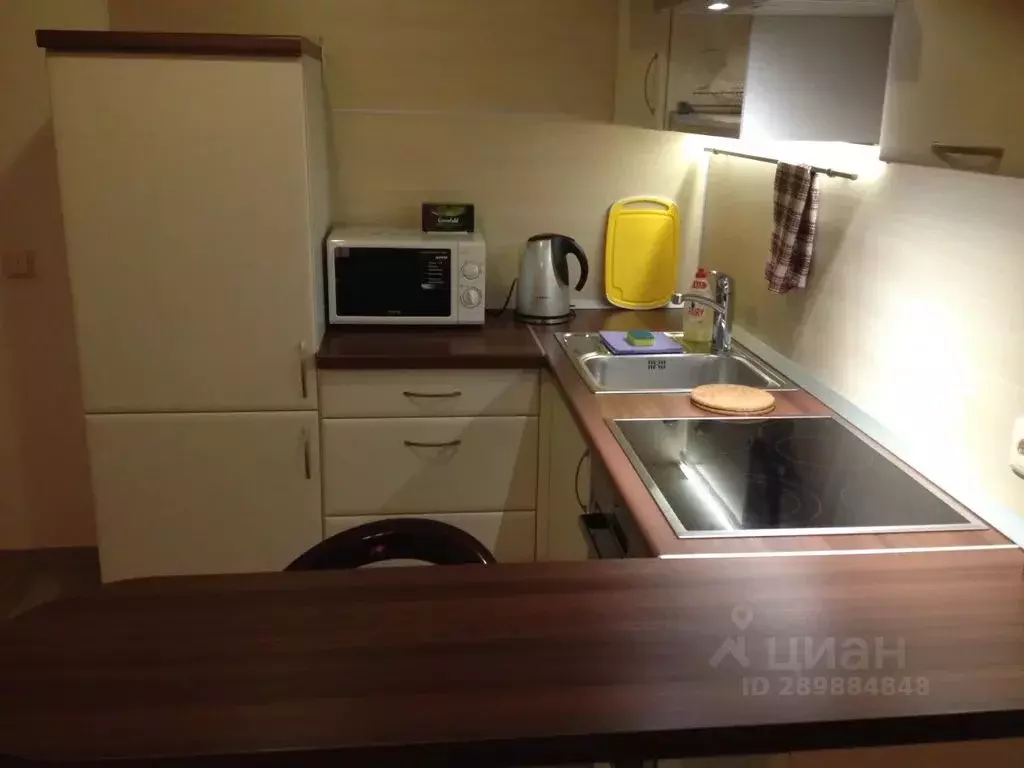 Студия Санкт-Петербург Московский просп., 73к5 (30.0 м) - Фото 1