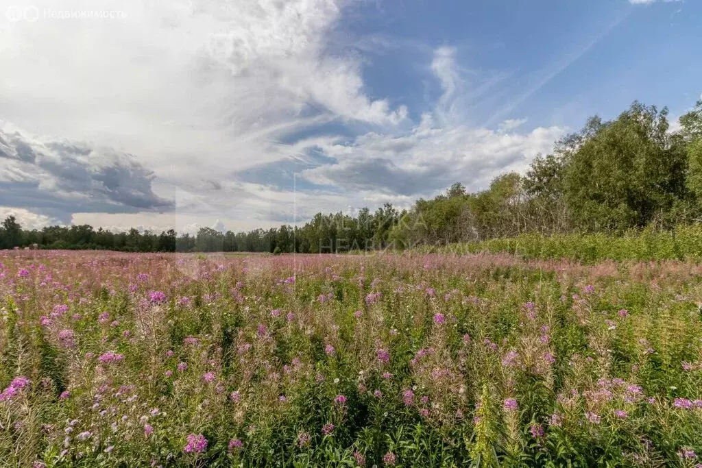 Участок в Тюменский район, село Каменка (10 м) - Фото 0