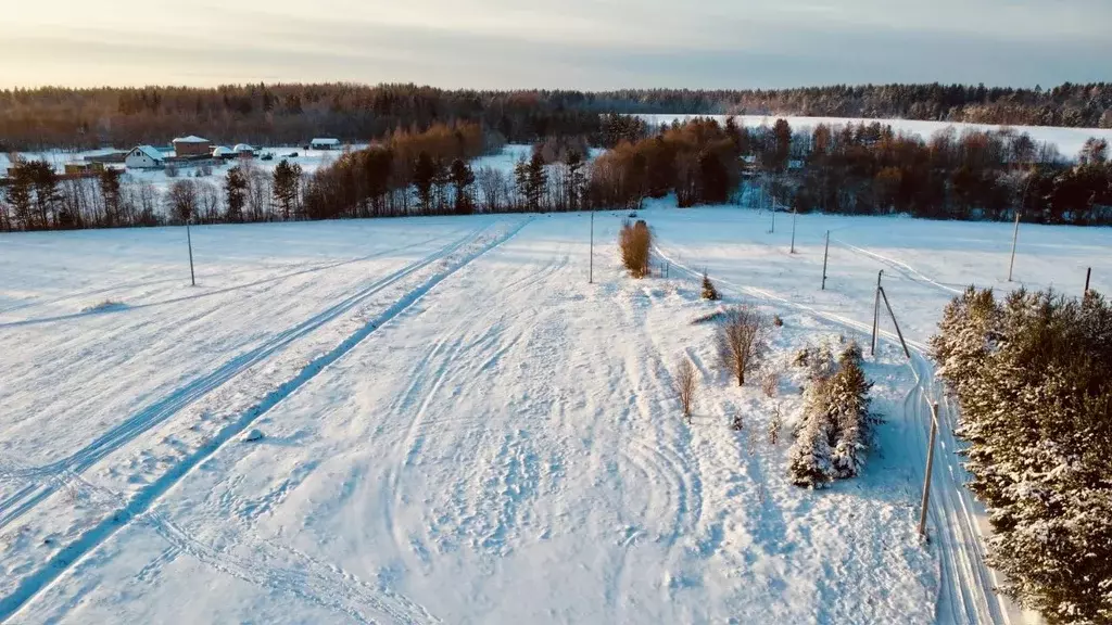 Участок в Ленинградская область, Приозерский район, Красноозерное ... - Фото 2