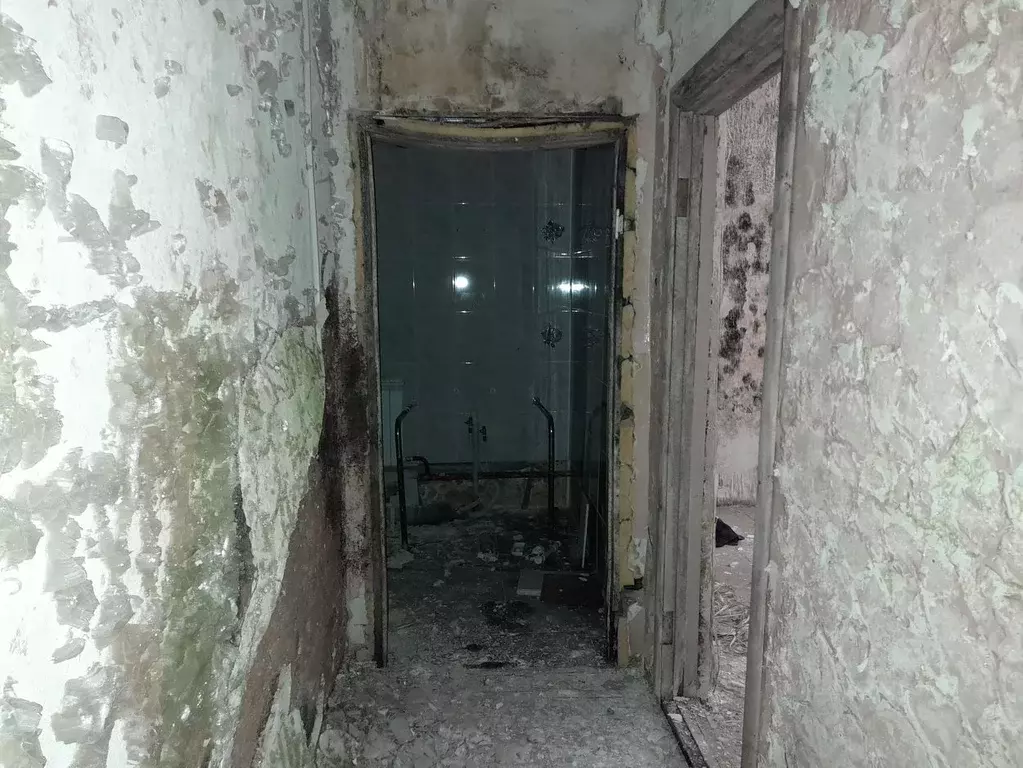 Помещение свободного назначения в Марий Эл, Йошкар-Ола Звездная ул., ... - Фото 1