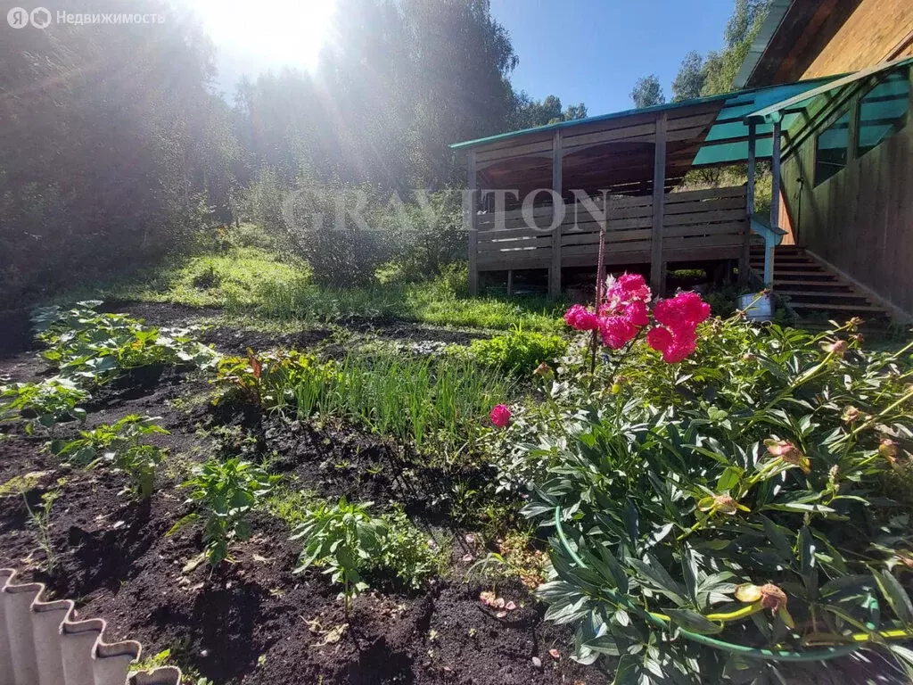 Дом в Горно-Алтайск, Медовая улица (42 м) - Фото 1
