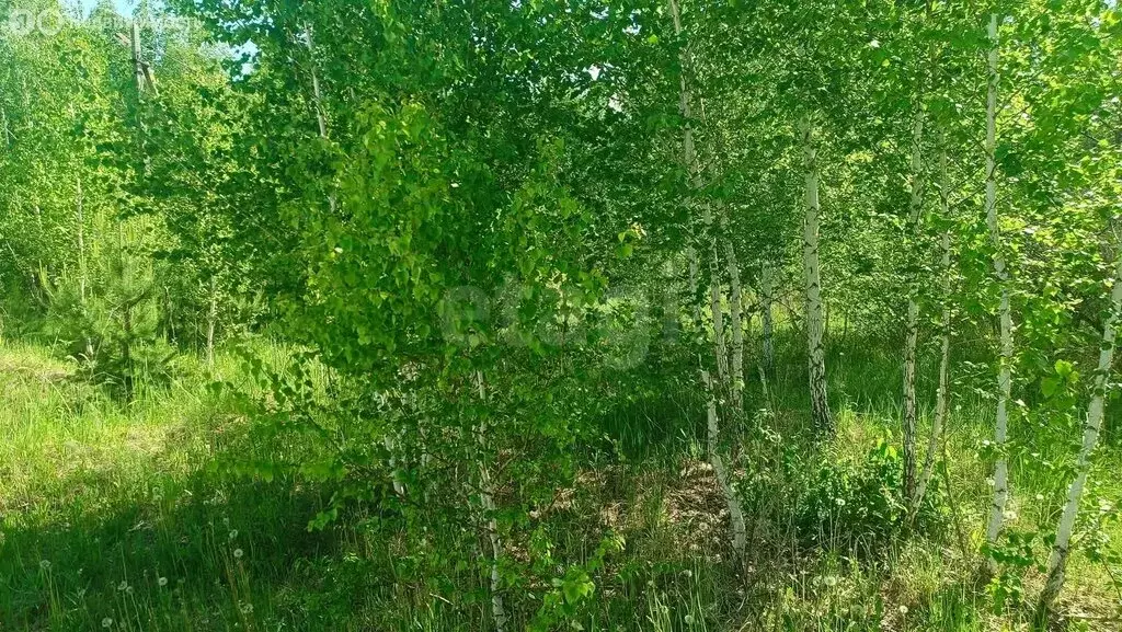 Участок в посёлок Нагорный, Южная улица (11.5 м) - Фото 1