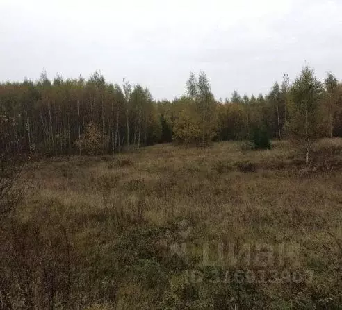Участок в Московская область, Дмитровский муниципальный округ, д. ... - Фото 0