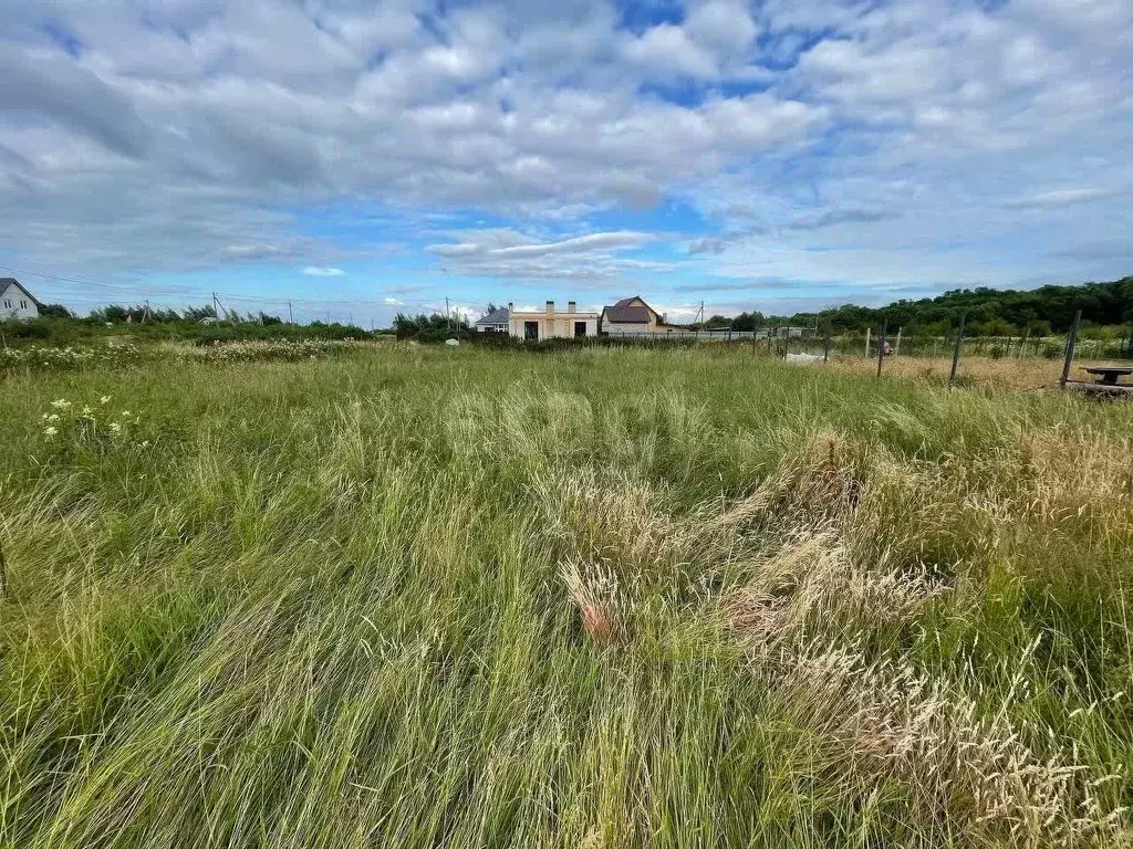 Участок в Калининградская область, Зеленоградский муниципальный округ, ... - Фото 1