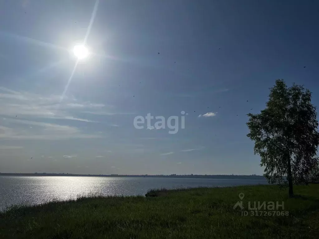 Участок в Ульяновская область, Чердаклинский район, Красноярское ... - Фото 1