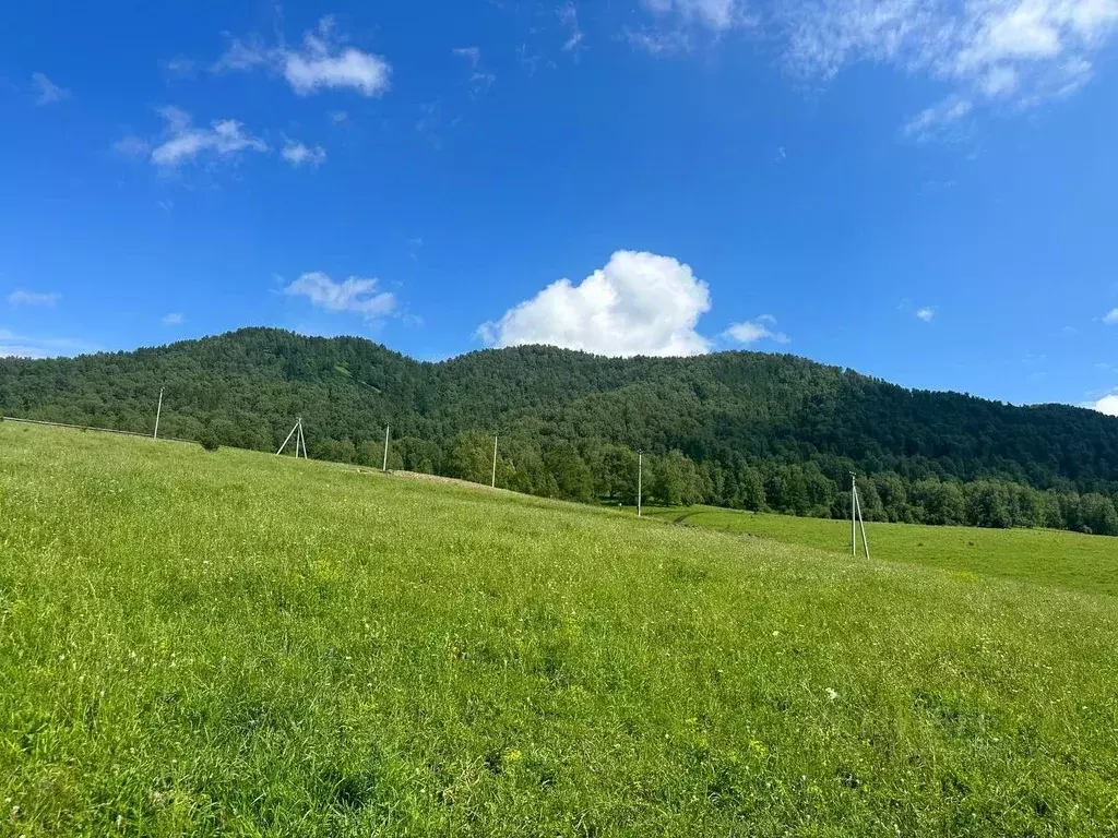 Участок в Алтай, Чемальский район, Элекмонарское с/пос  (20.0 сот.) - Фото 0