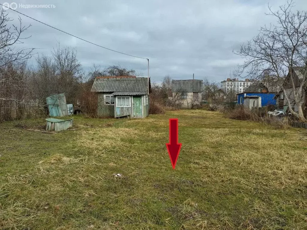 Участок в Калининград, СТ Дружба-Девау, улица Надежды (9 м) - Фото 1