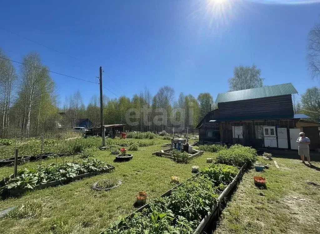 Дом в Тюменская область, Тюмень  (48 м) - Фото 1
