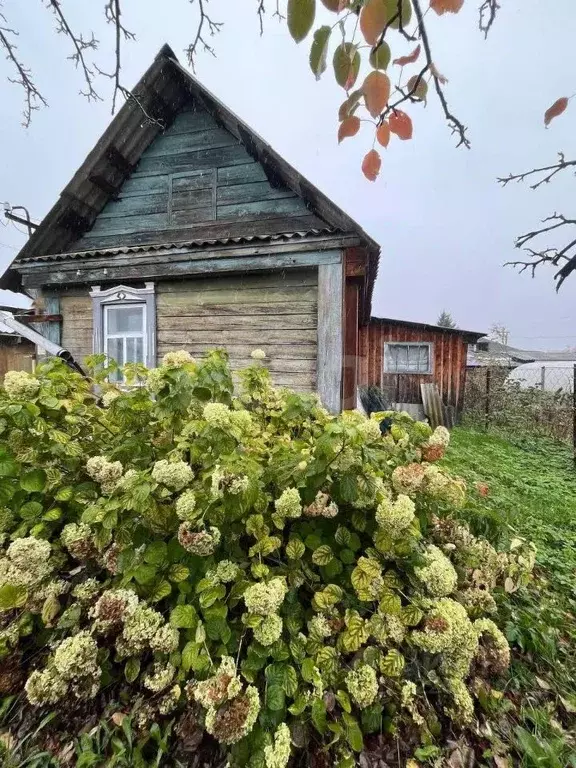 Дом в Алтай, Майминский район, с. Майма Зеленая ул., 73 (40 м) - Фото 1