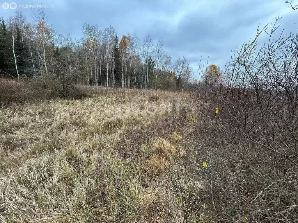 Участок в Новый Свет, Мирная улица (47.01 м) - Фото 1