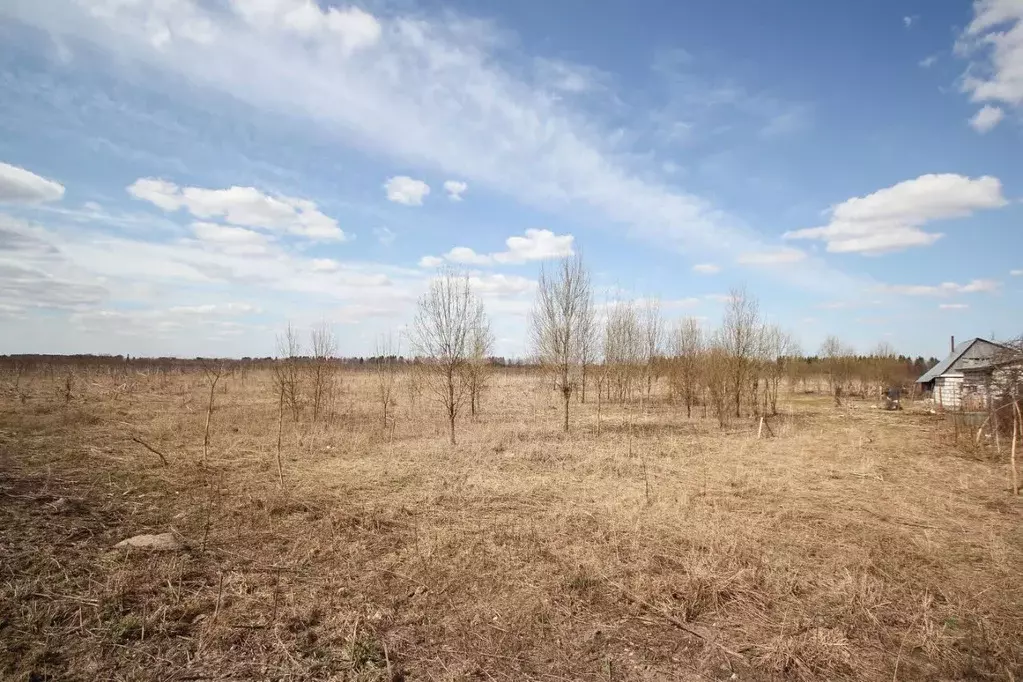 Участок в Ленинградская область, Волосовский район, Большеврудское ... - Фото 1