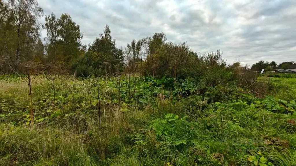 Участок в Московская область, Рузский муниципальный округ, д. Лихачево ... - Фото 2