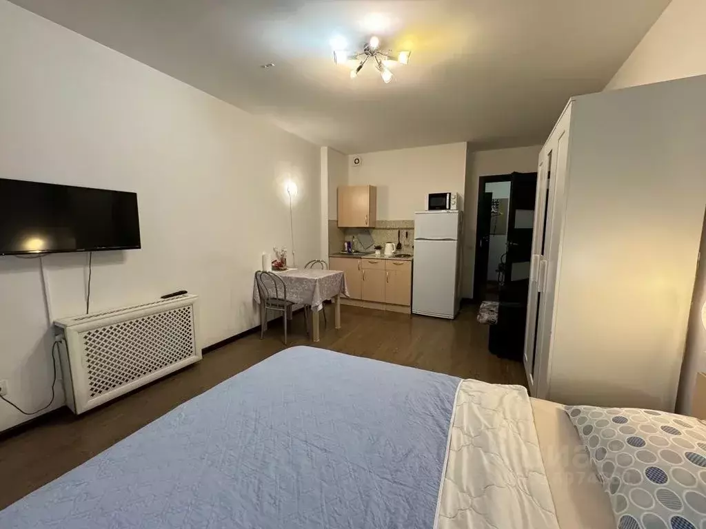 Студия Санкт-Петербург просп. Энергетиков, 11к5 (27.0 м) - Фото 1