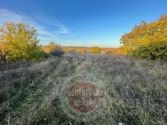 Участок в Белгородская область, Яковлевский городской округ, с. Шопино ... - Фото 0