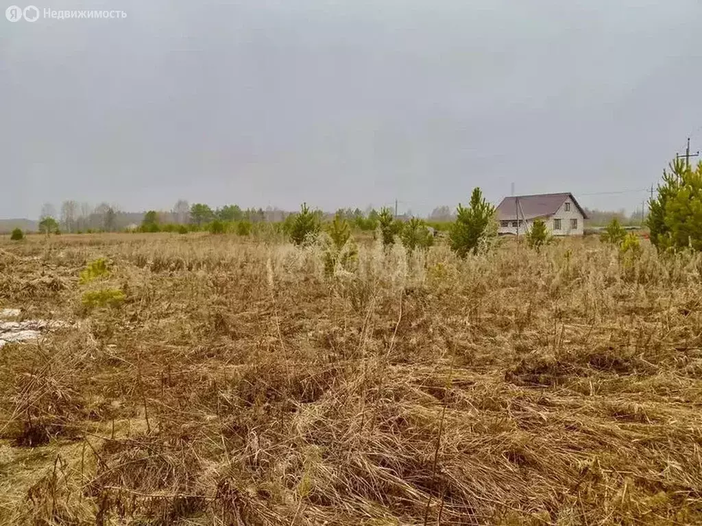 Участок в село Нижняя Тавда, улица Бориса Щербины (15.7 м) - Фото 2