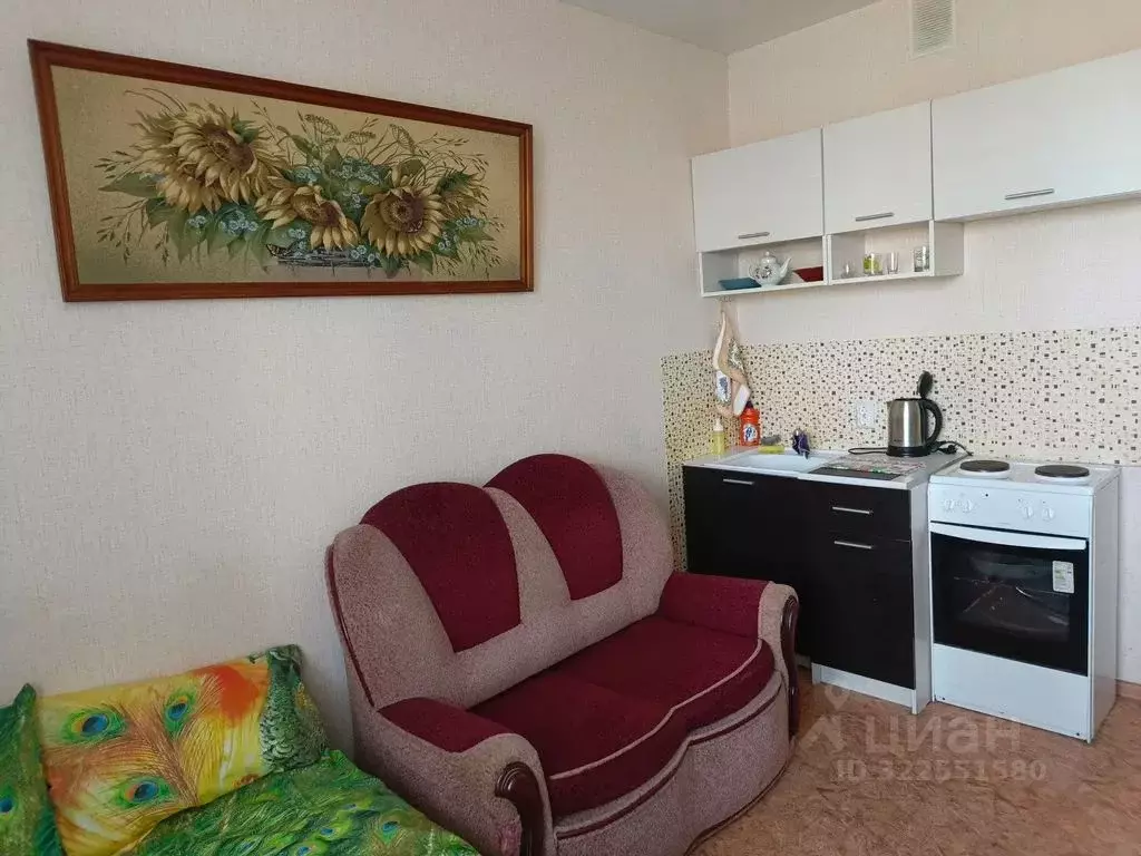 Студия Нижегородская область, Нижний Новгород бул. Южный, 21 (15.0 м) - Фото 2