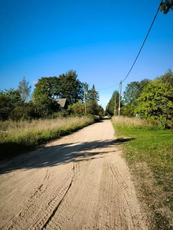 Участок в Ленинградская область, Лужский район, Толмачевское городское ... - Фото 1