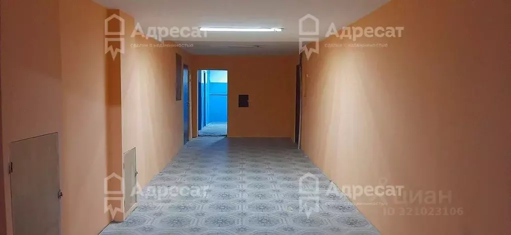 Комната Волгоградская область, Волгоград ул. Хиросимы, 14 (12.0 м) - Фото 1