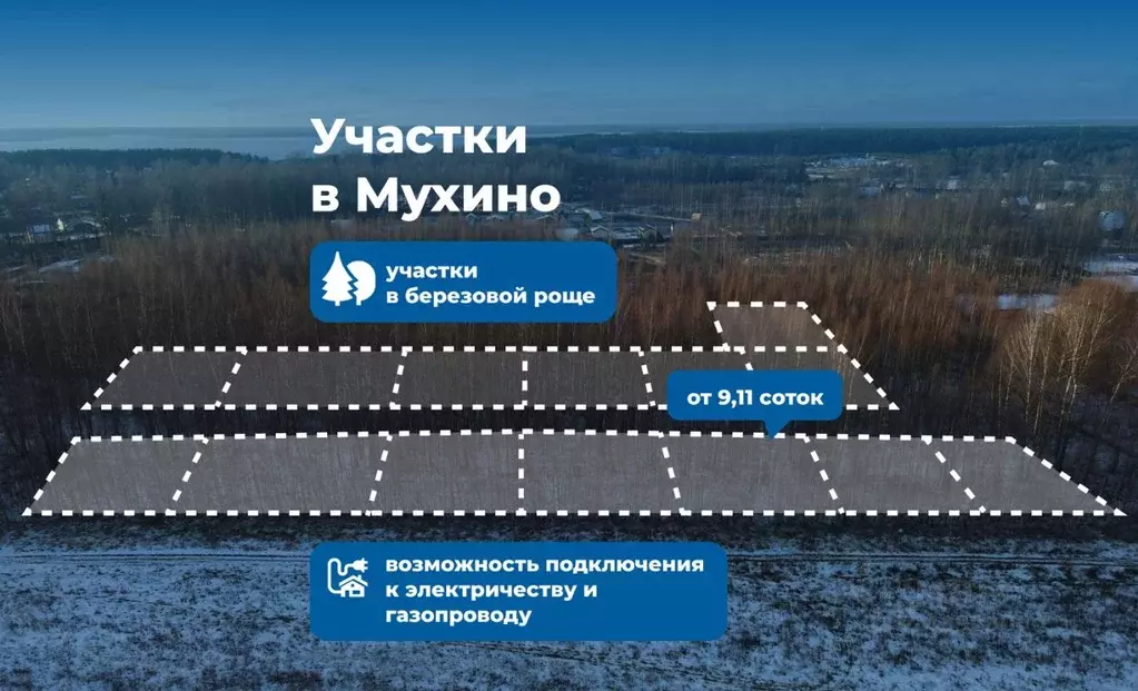 Участок в Ярославская область, Рыбинский муниципальный округ, д. ... - Фото 1