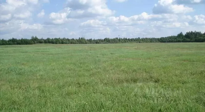 Участок в Ленинградская область, Всеволожский район, Романовское ... - Фото 0