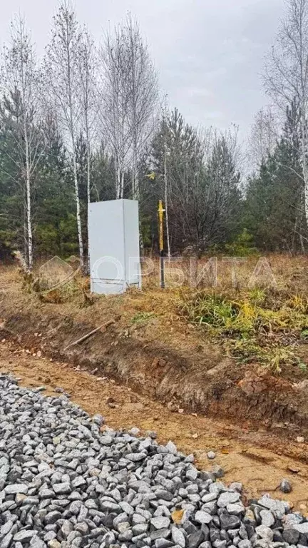 Участок в Тюменская область, Тюменский муниципальный округ, ... - Фото 2