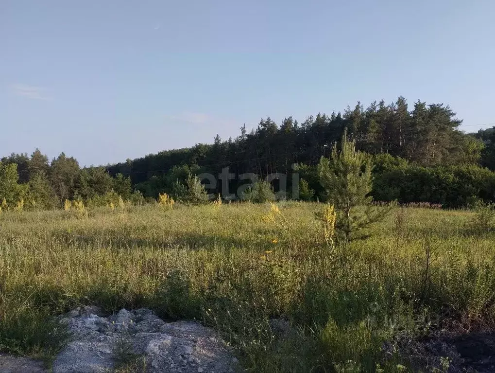 Участок в Белгородская область, Белгородский район, Дубовское с/пос, ... - Фото 1