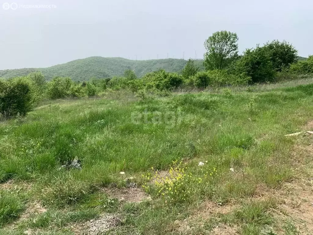 Участок в Краснодарский край, городской округ Новороссийск, село ... - Фото 1