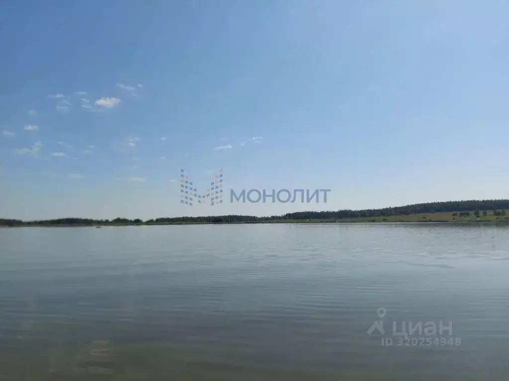 Участок в Нижегородская область, Богородский муниципальный округ, д. ... - Фото 0