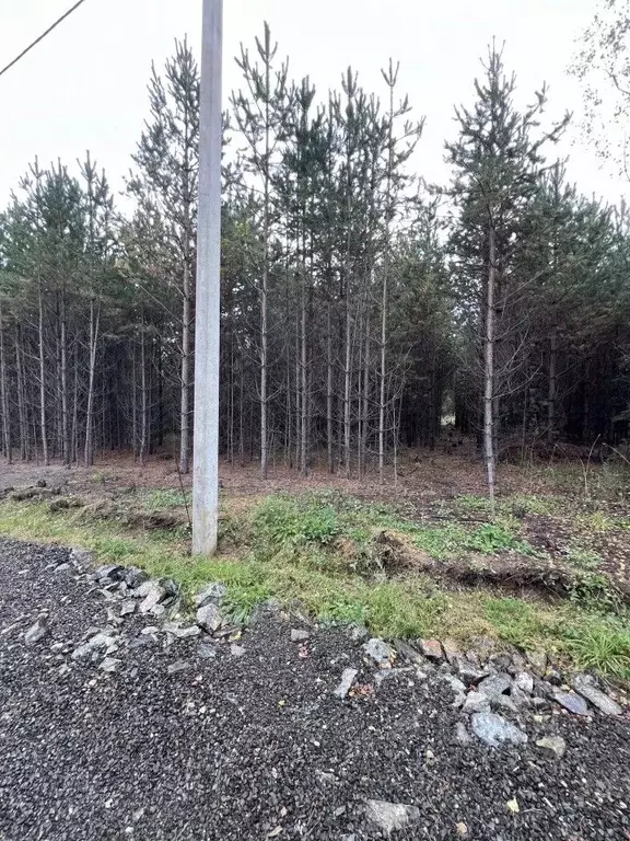 Участок в Свердловская область, Екатеринбург Лесные Тропы тер.,  (10.0 ... - Фото 0