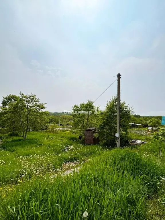 Участок в Приморский край, Партизанский муниципальный округ, Марс СНТ ... - Фото 1