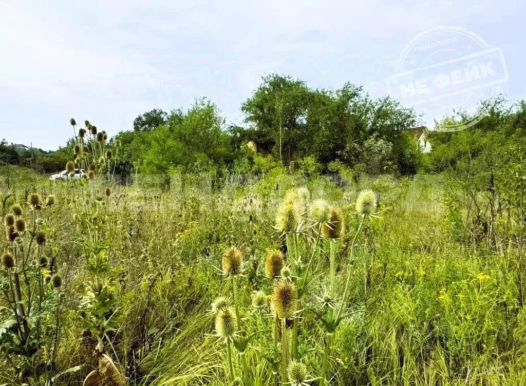 Участок в Ростовская область, Родионово-Несветайский район, ... - Фото 1