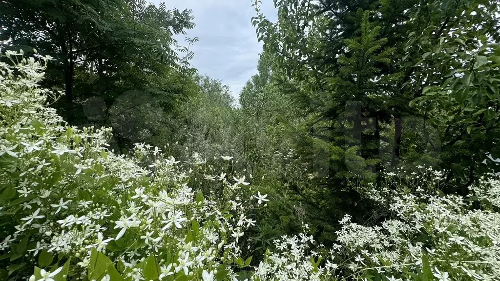 Участок 4,6 сот. (СНТ, ДНП) - Фото 0