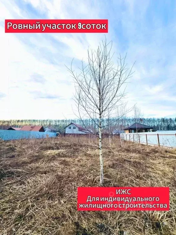 Участок в Нижегородская область, Богородский муниципальный округ, д. ... - Фото 1