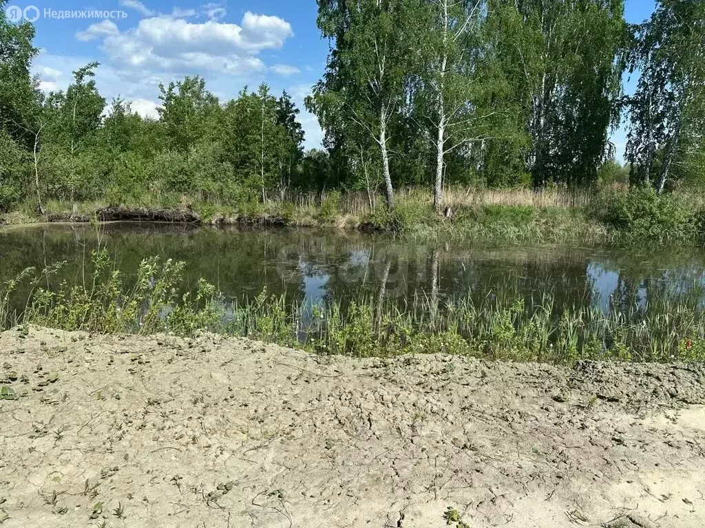 Участок в Тюмень, садовое товарищество Поле Чудес, Виноградная улица ... - Фото 1