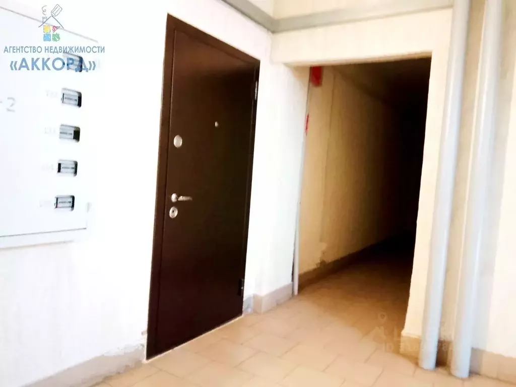 1-к кв. Алтайский край, Бийск Ленинградская ул., 38 (35.0 м) - Фото 1