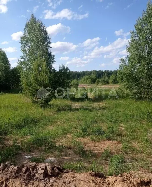 Участок в Тюменская область, Тюмень Центральная пл. (5.3 сот.) - Фото 1
