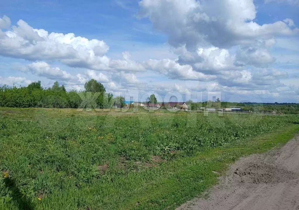 Дом 41,3 м на участке 35 сот. - Фото 0