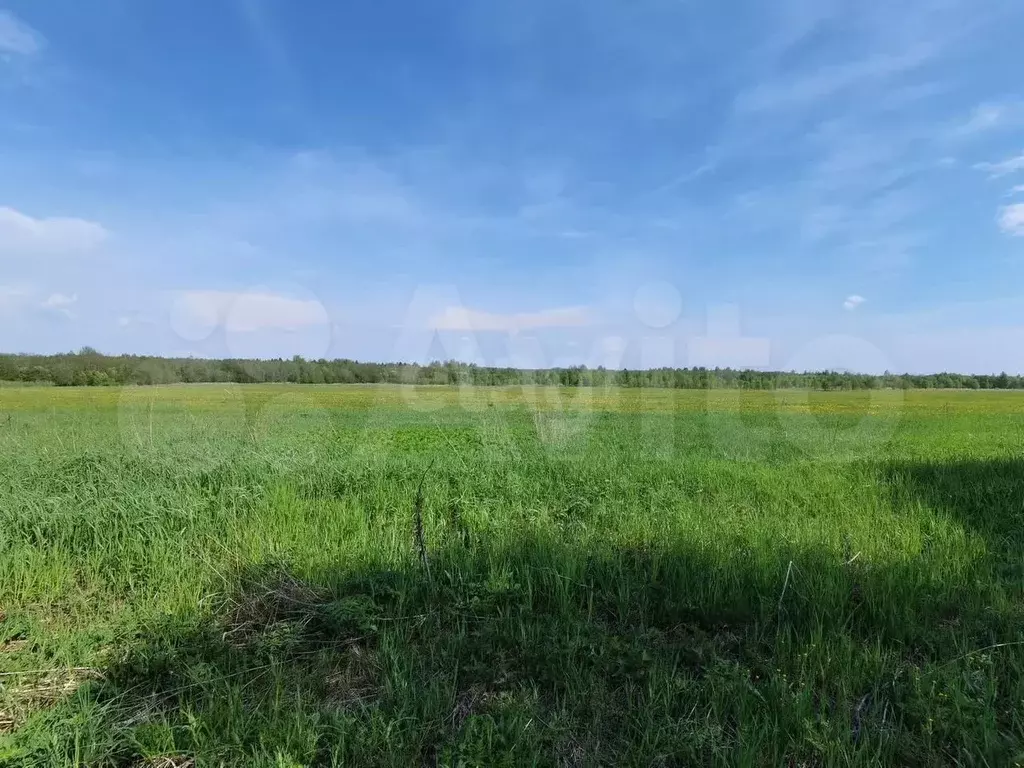 Участок 10,68 га (СНТ, ДНП) - Фото 0