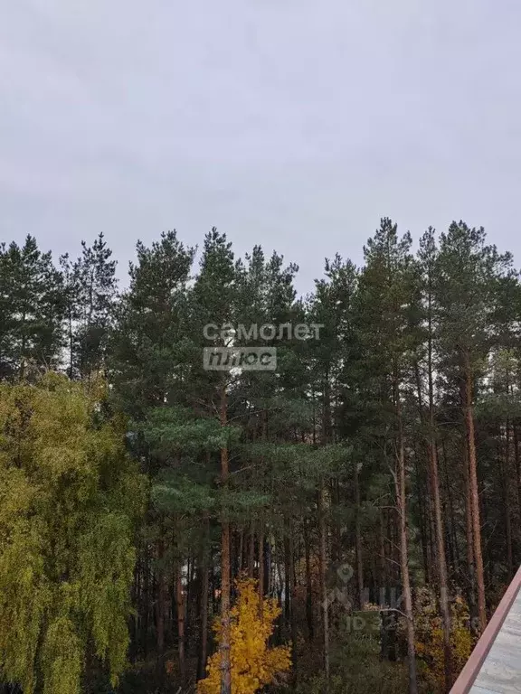 2-к кв. Орловская область, Орловский район, д. Некрасовка пер. ... - Фото 1