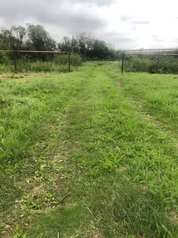 Участок в Красноярский край, Емельяново городское поселение, ... - Фото 0