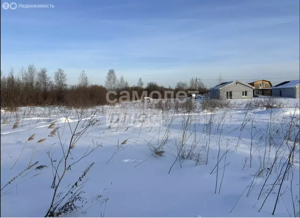 Участок в Тюмень, садовое товарищество Царево, 476А (22.63 м) - Фото 2