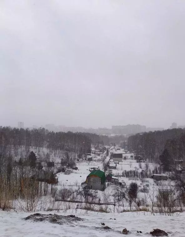 Участок в Новосибирская область, Новосибирск Одуванчик ДНТ,  (7.8 ... - Фото 1