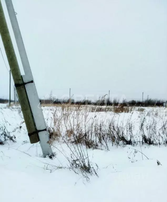 Участок в Тюменская область, Тюмень Царево садовое товарищество, ул. ... - Фото 1