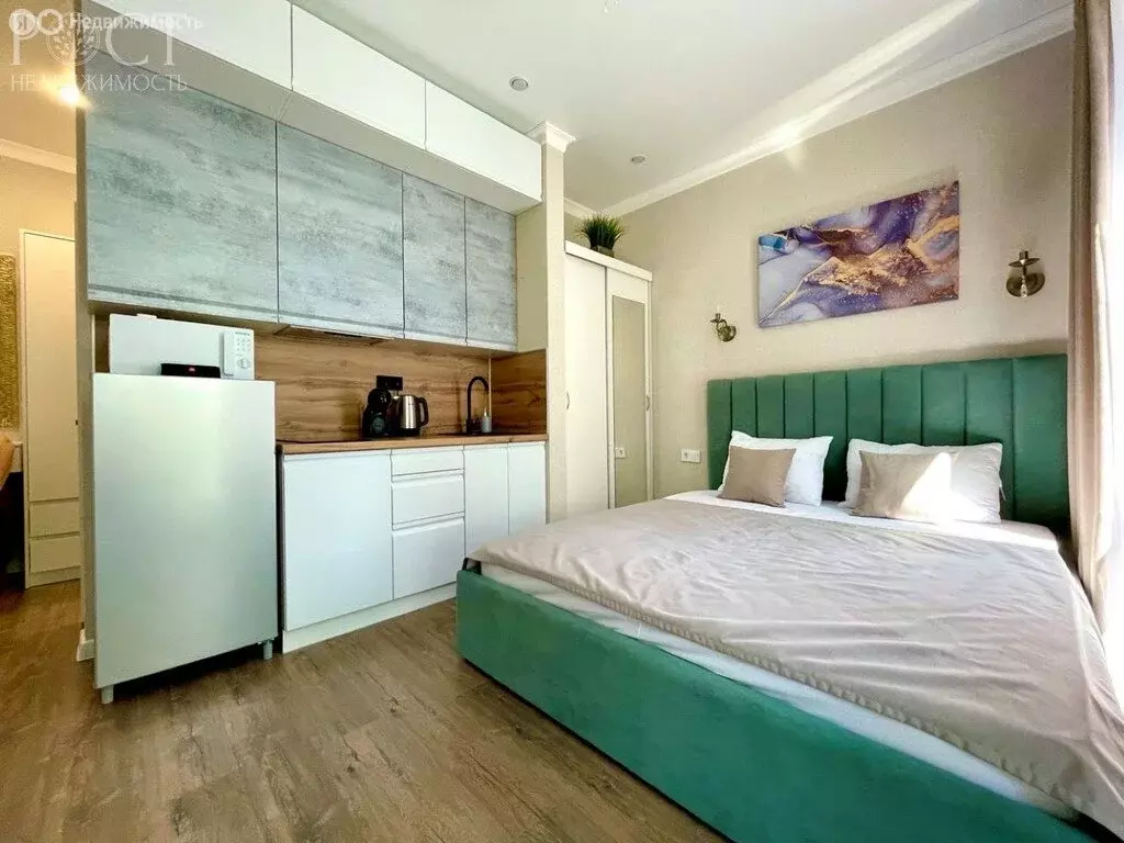 Квартира-студия: Сочи, Виноградная улица, 219 (25 м) - Фото 2