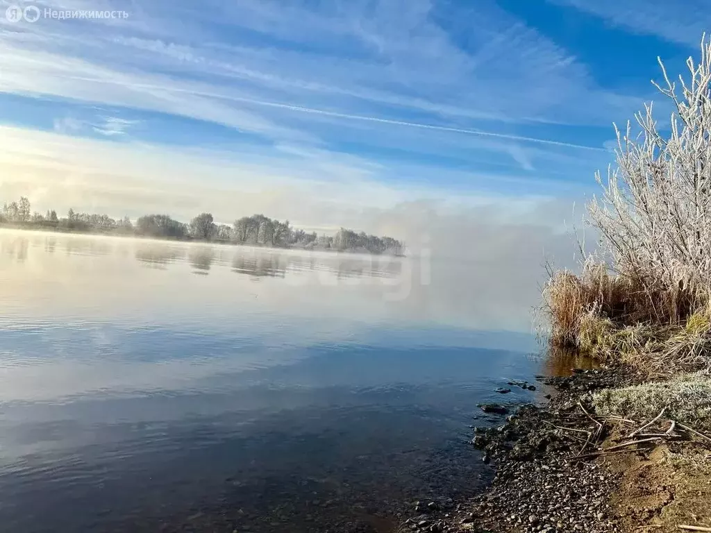 Участок в Ярославская область, Некрасовский муниципальный округ, село ... - Фото 1