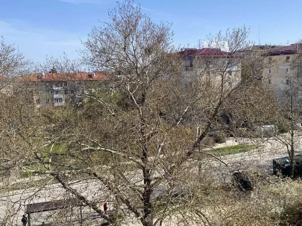 1-к кв. Севастополь просп. Юрия Гагарина, 10 (29.9 м) - Фото 2