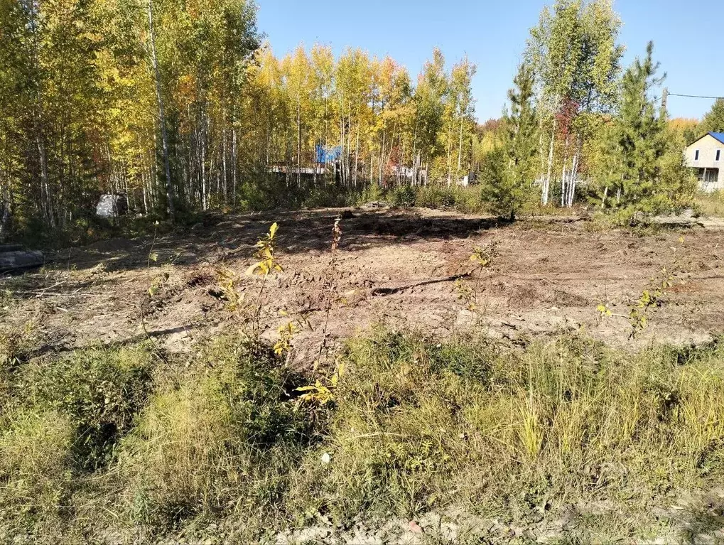 Участок в Ханты-Мансийский АО, Ханты-Мансийск Светлана СОТ, 33 (6.2 ... - Фото 0