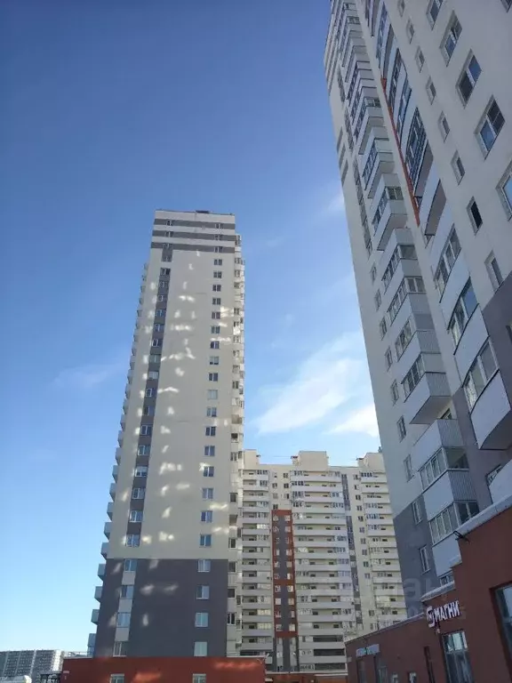 1-к кв. Санкт-Петербург пос. Парголово, ул. Тихоокеанская, 1к2 (31.5 ... - Фото 1