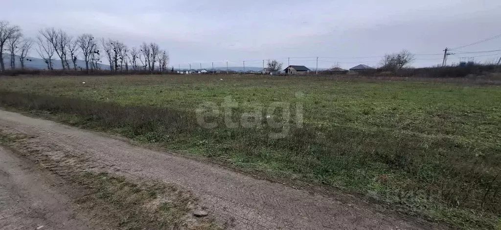 Участок в Краснодарский край, Новороссийск городской округ, ... - Фото 1